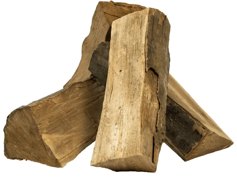 1833_DREVO BUK DETAIL